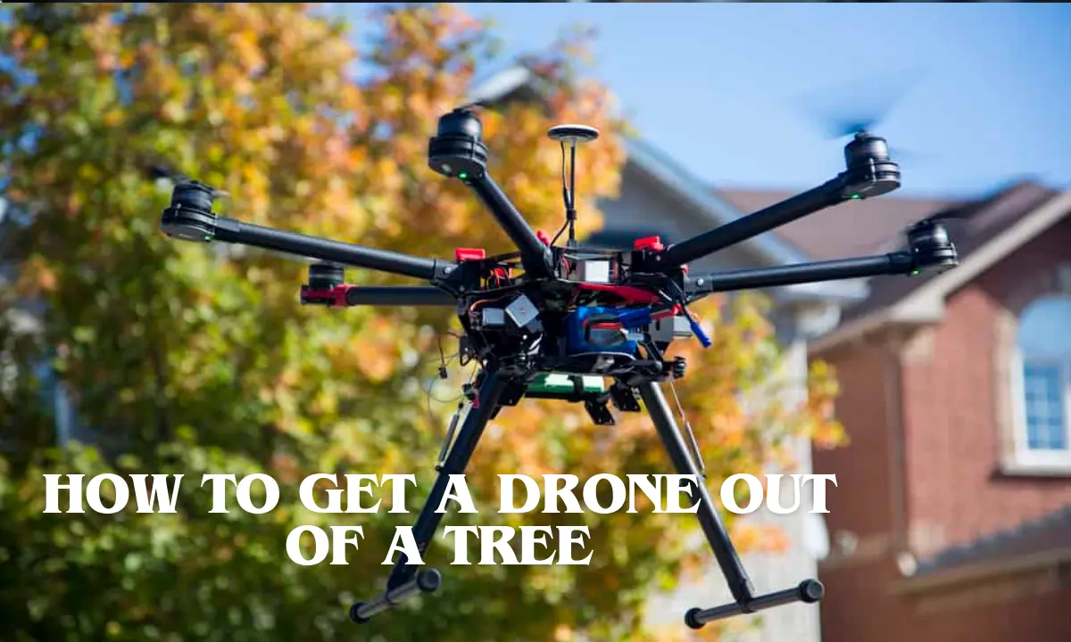 How to get a drone out of a tree